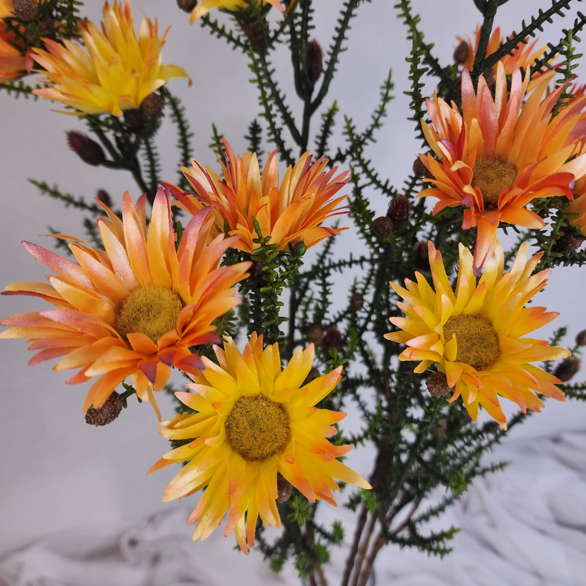 Desert Daisy Orange- Kaaps Flower , Realistic Artificial Flowers