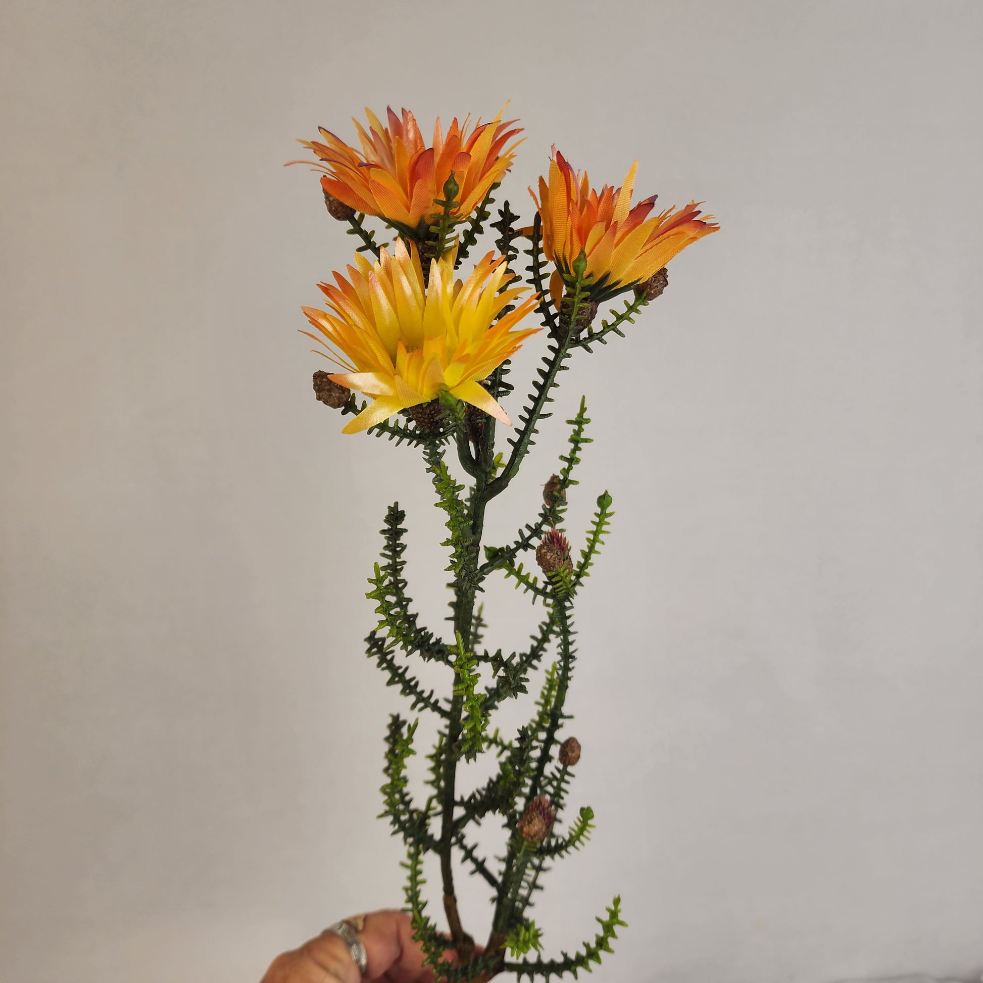 Desert Daisy Orange- Kaaps Flower , Realistic Artificial Flowers