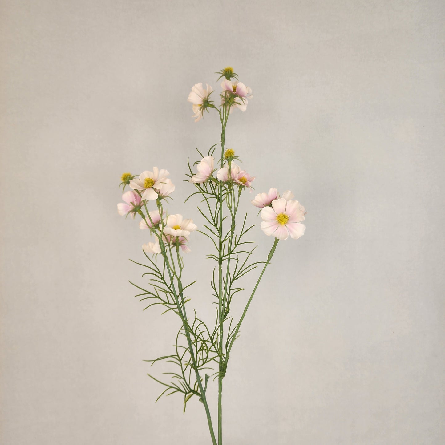 Pale Pink Mini Cosmos Spray - Realistic Artificial Flowers