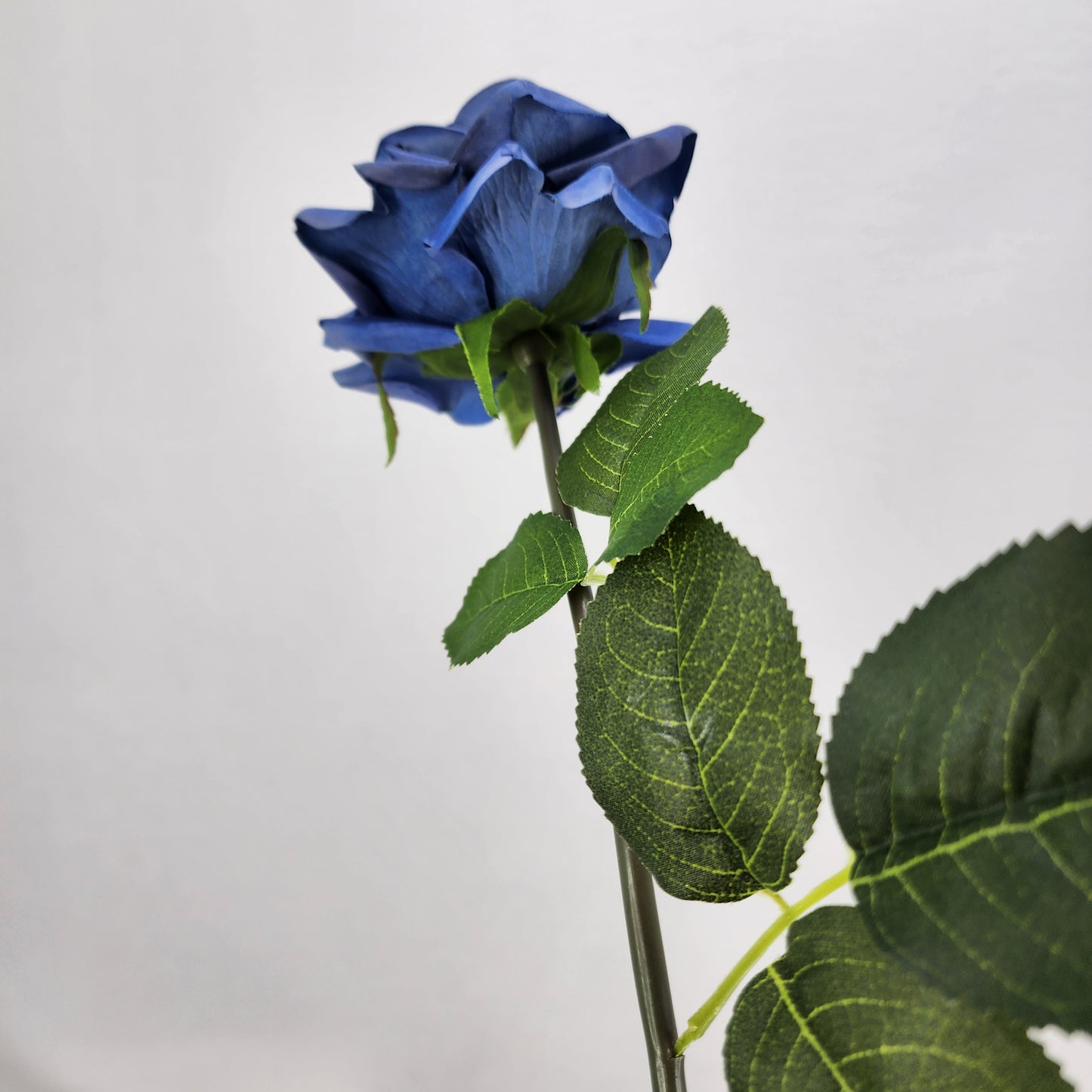 Navy Blue Royal Real Touch Rose