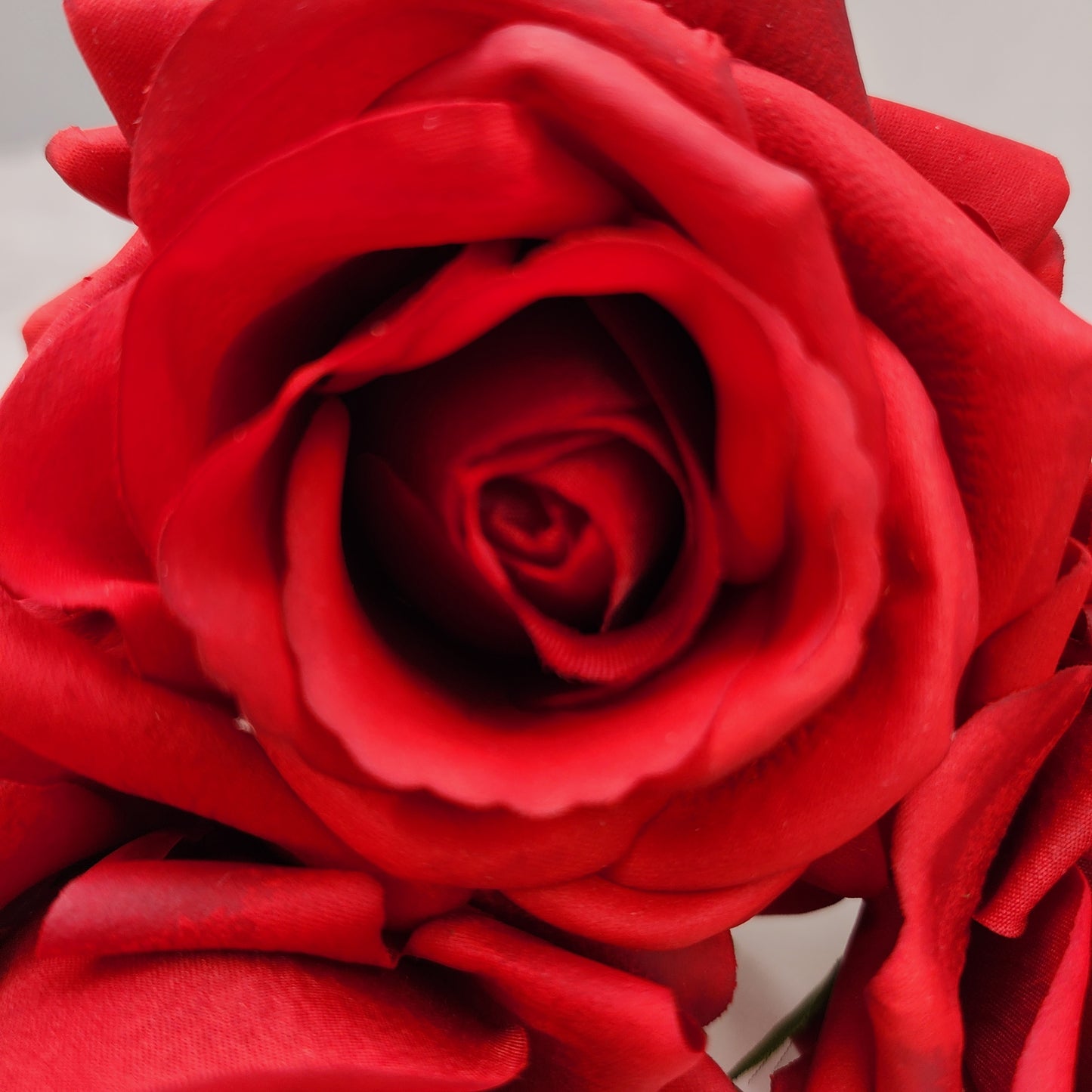 Red Royal Real Touch Rose