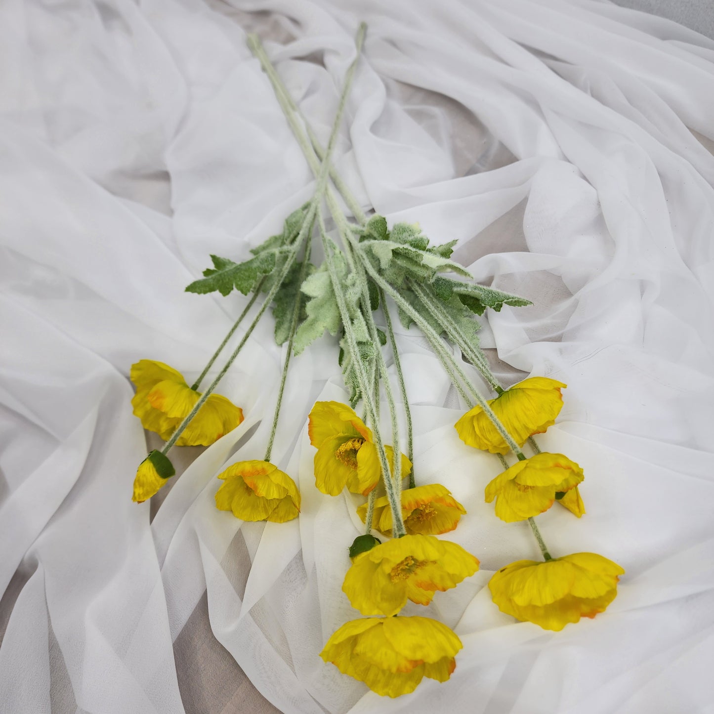 Icelandic Poppies Yellow