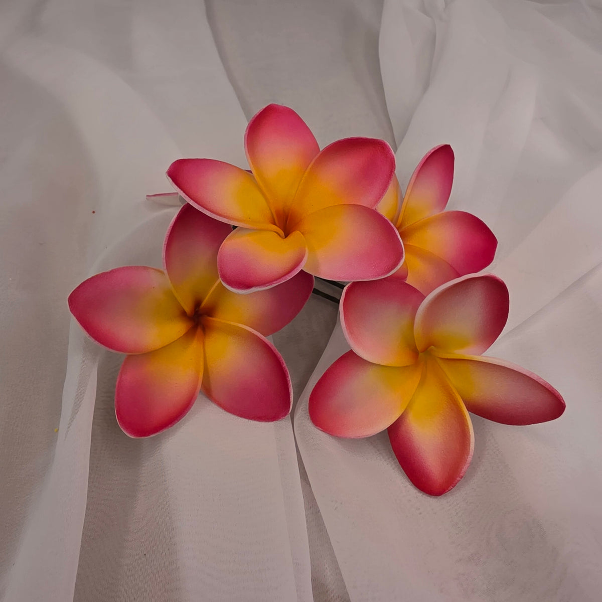 Dark Pink/White/Yellow Frangipani 7cm Flowerhead