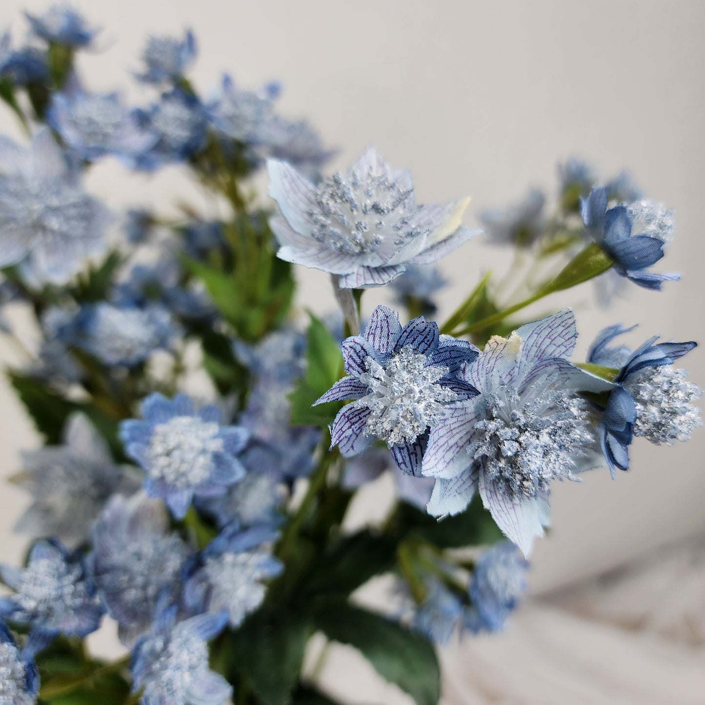 Astrania Dusty Blue - Realistic Artificial Flowers