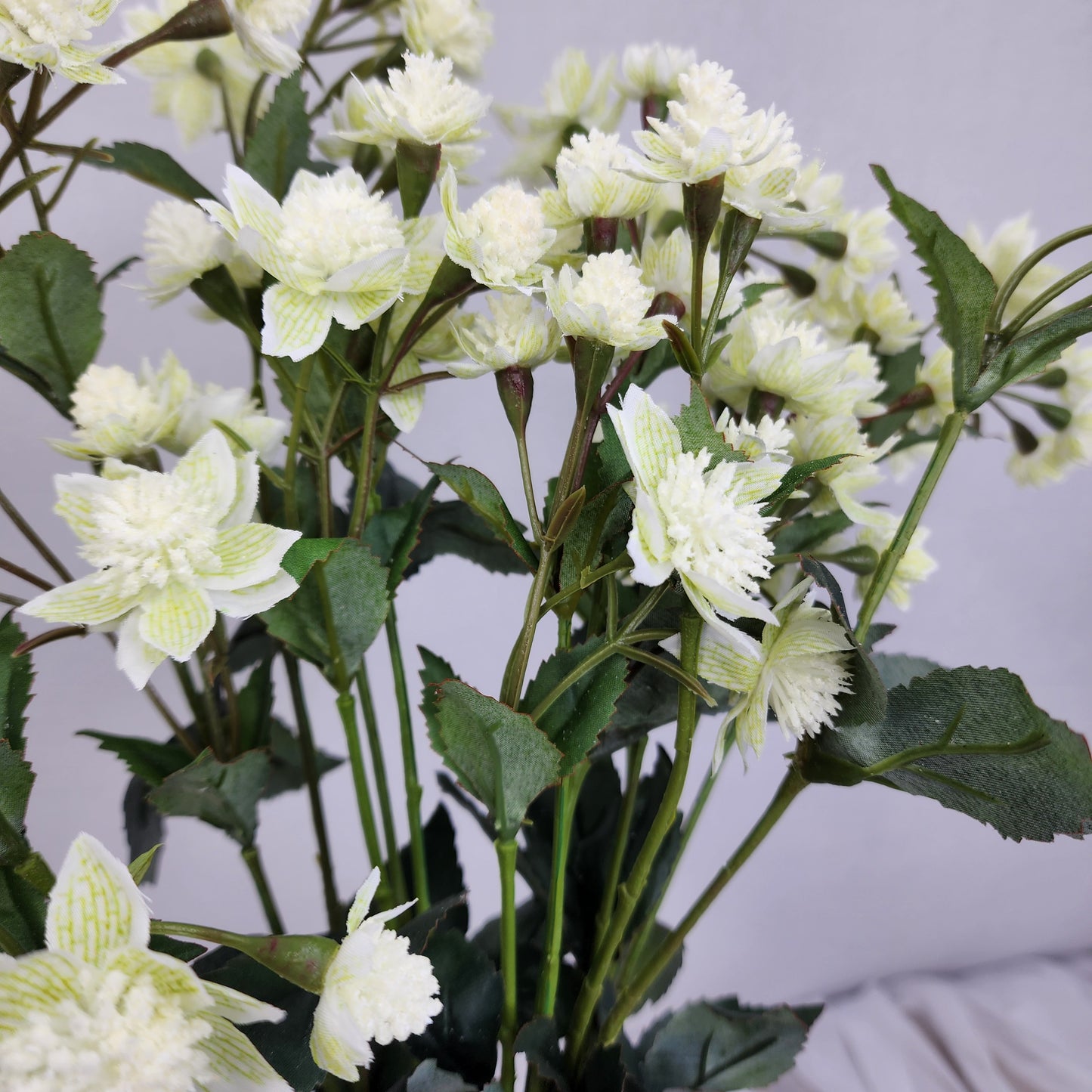 Astrania White- Realistic Artificial Flowers