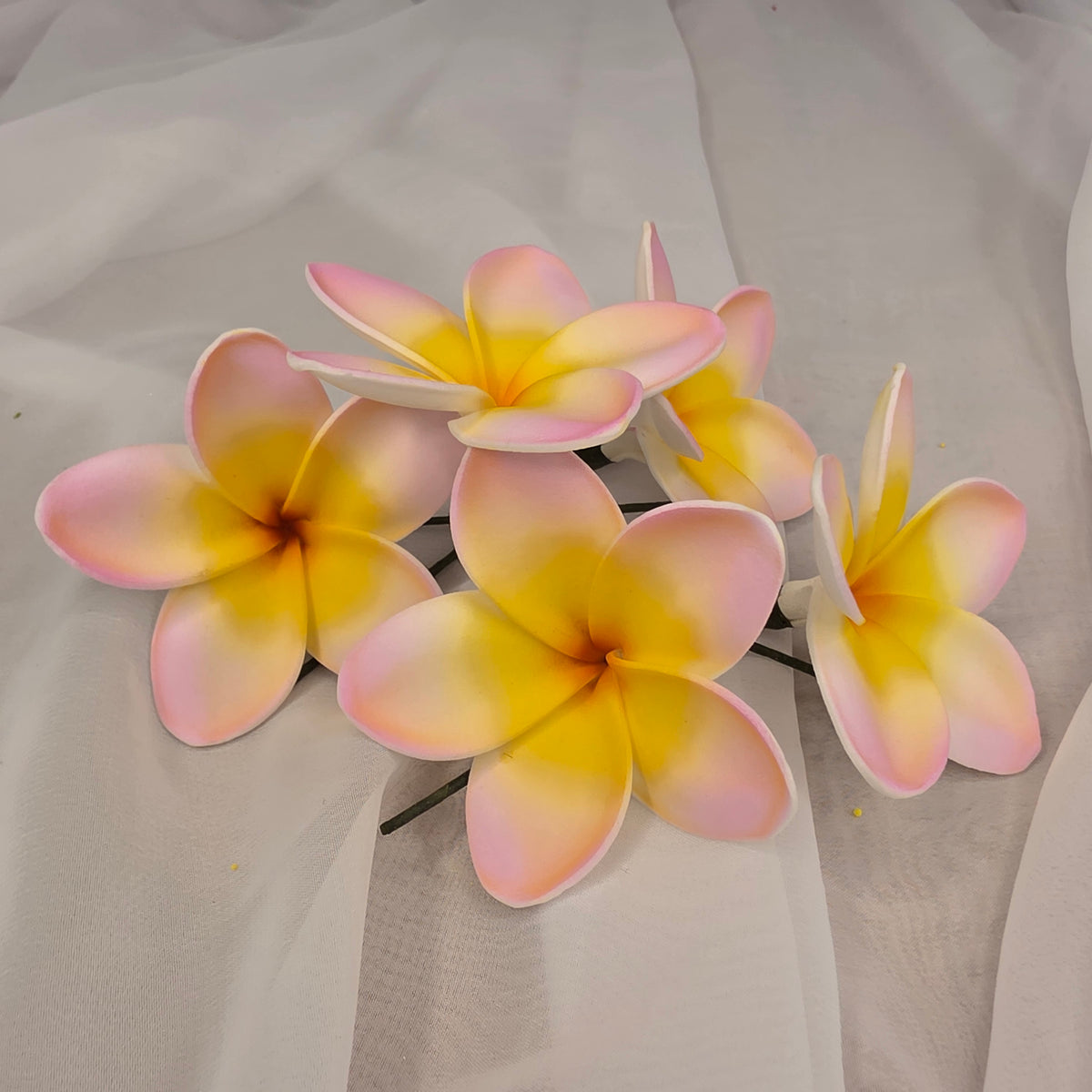 Pink/White/Yellow Frangipani 7cm Flowerhead