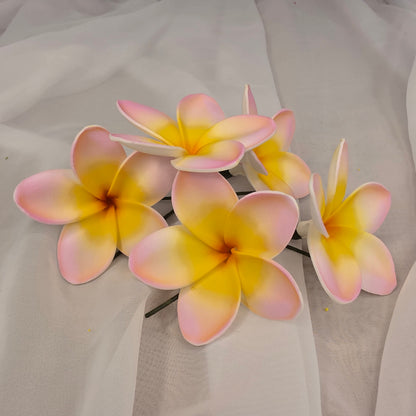 Pink/White/Yellow Frangipani 7cm Flowerhead