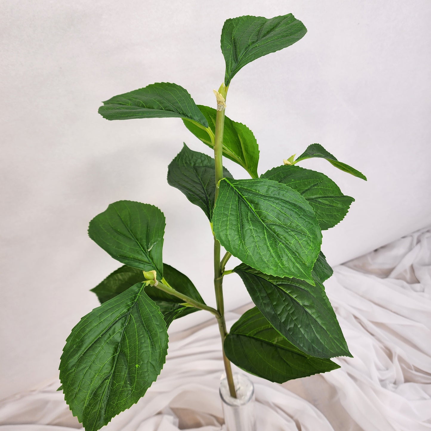 Hydrangea Leaf Spray