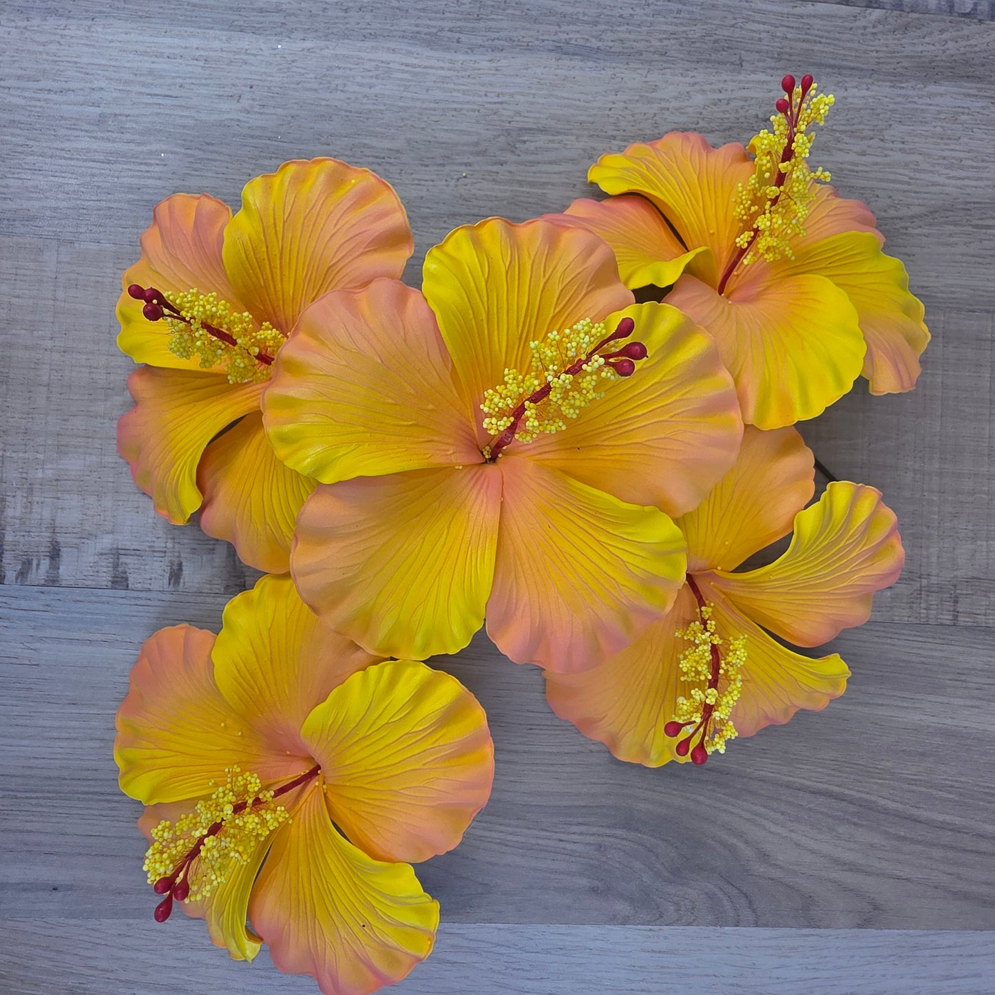 Peach Hibiscus 11.5 cm Flowerhead