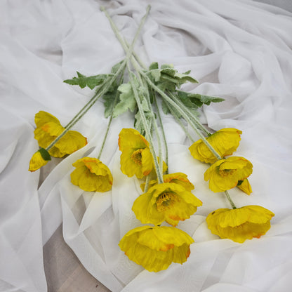 Icelandic Poppies Yellow