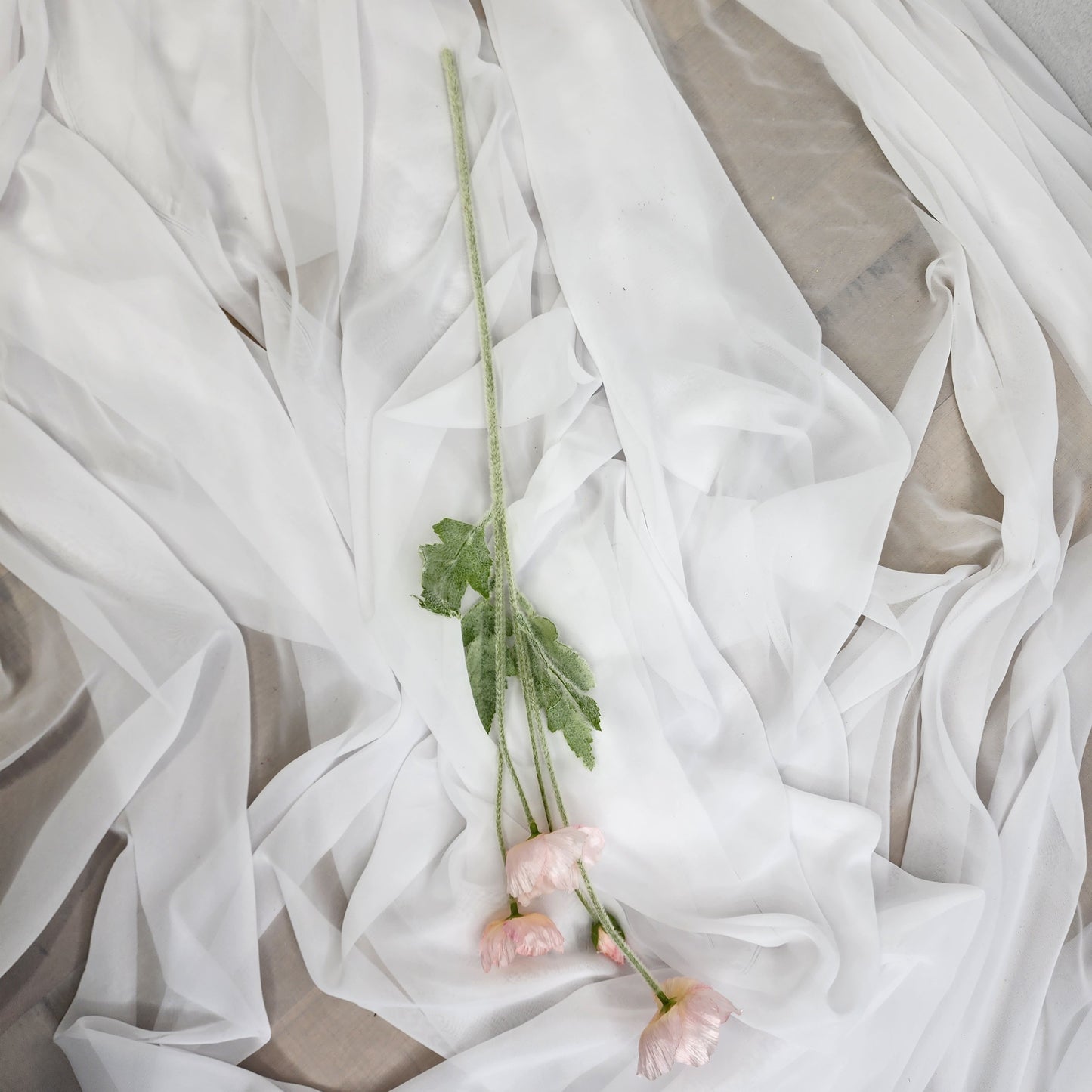 Icelandic Poppies - Light Pink