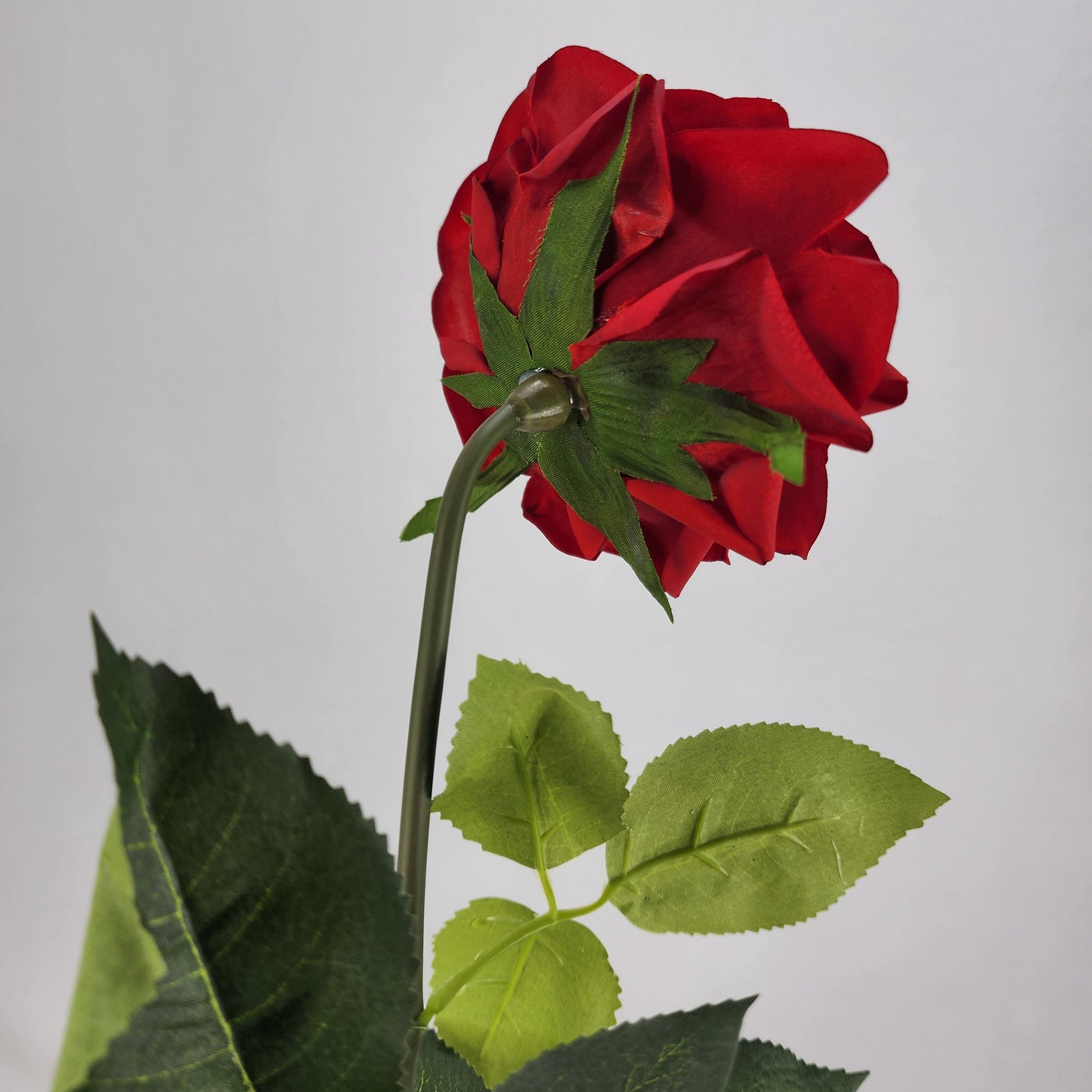 Red Royal Real Touch Rose