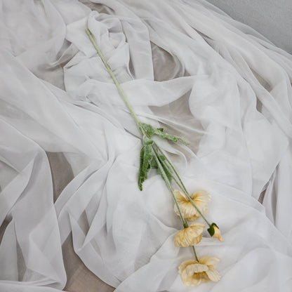 Icelandic Poppies - Pale Peach
