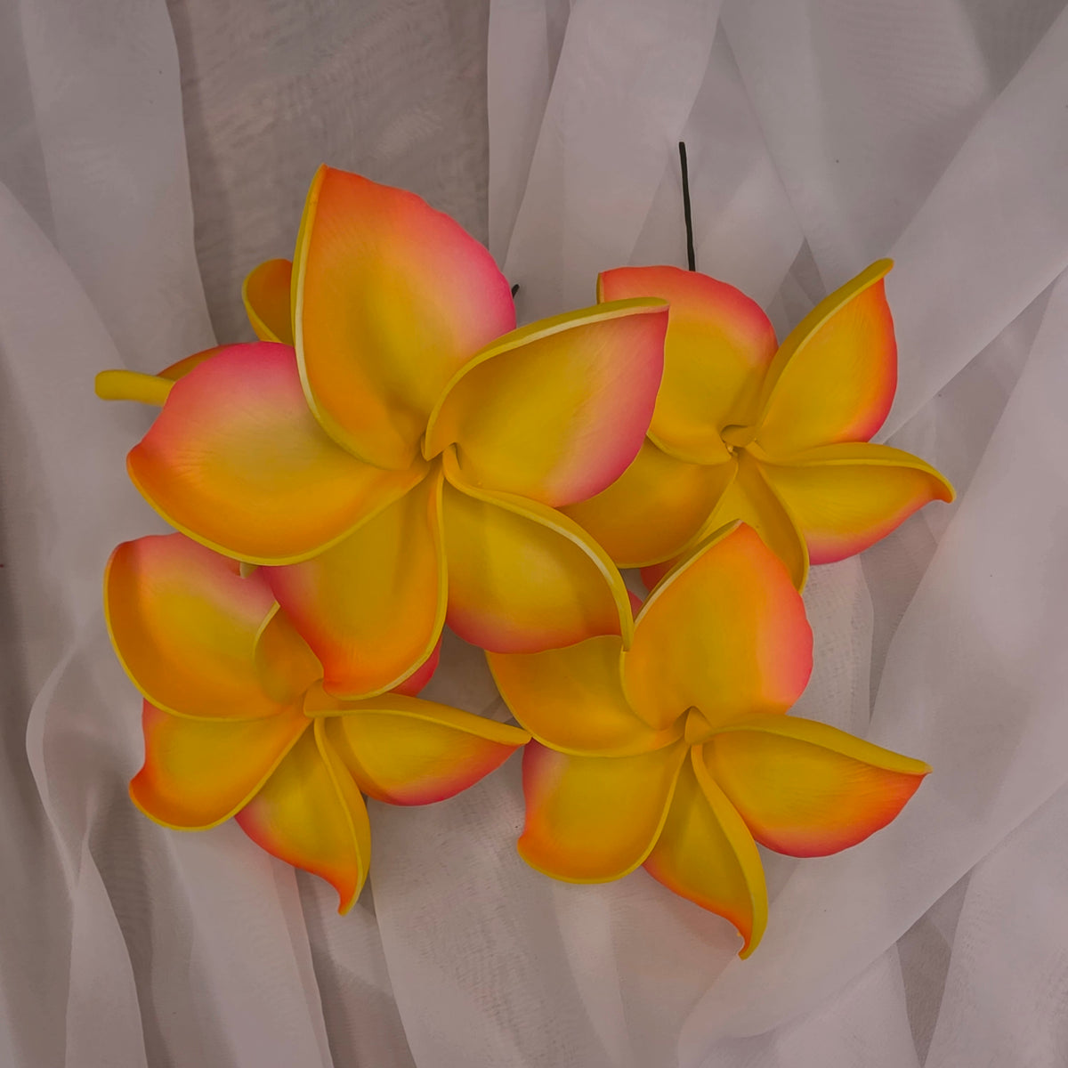 Hot Pink and Yellow Frangipani 11.5cm Flowerhead