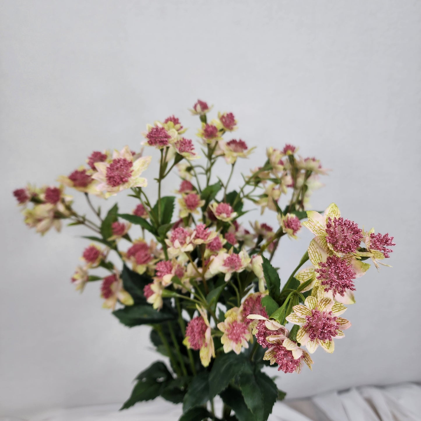 Astrania Pink - Realistic Artificial Flowers