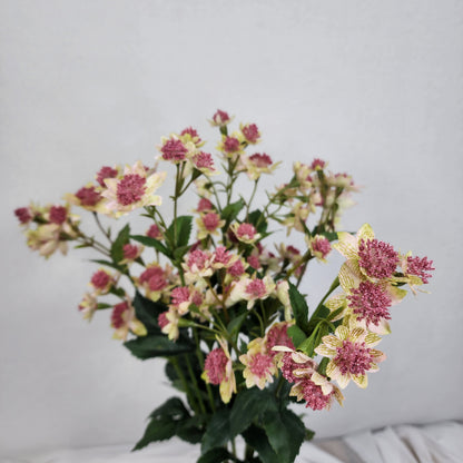 Astrania Pink - Realistic Artificial Flowers