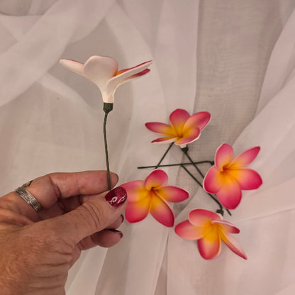 Dark Pink/White/Yellow Frangipani 7cm Flowerhead
