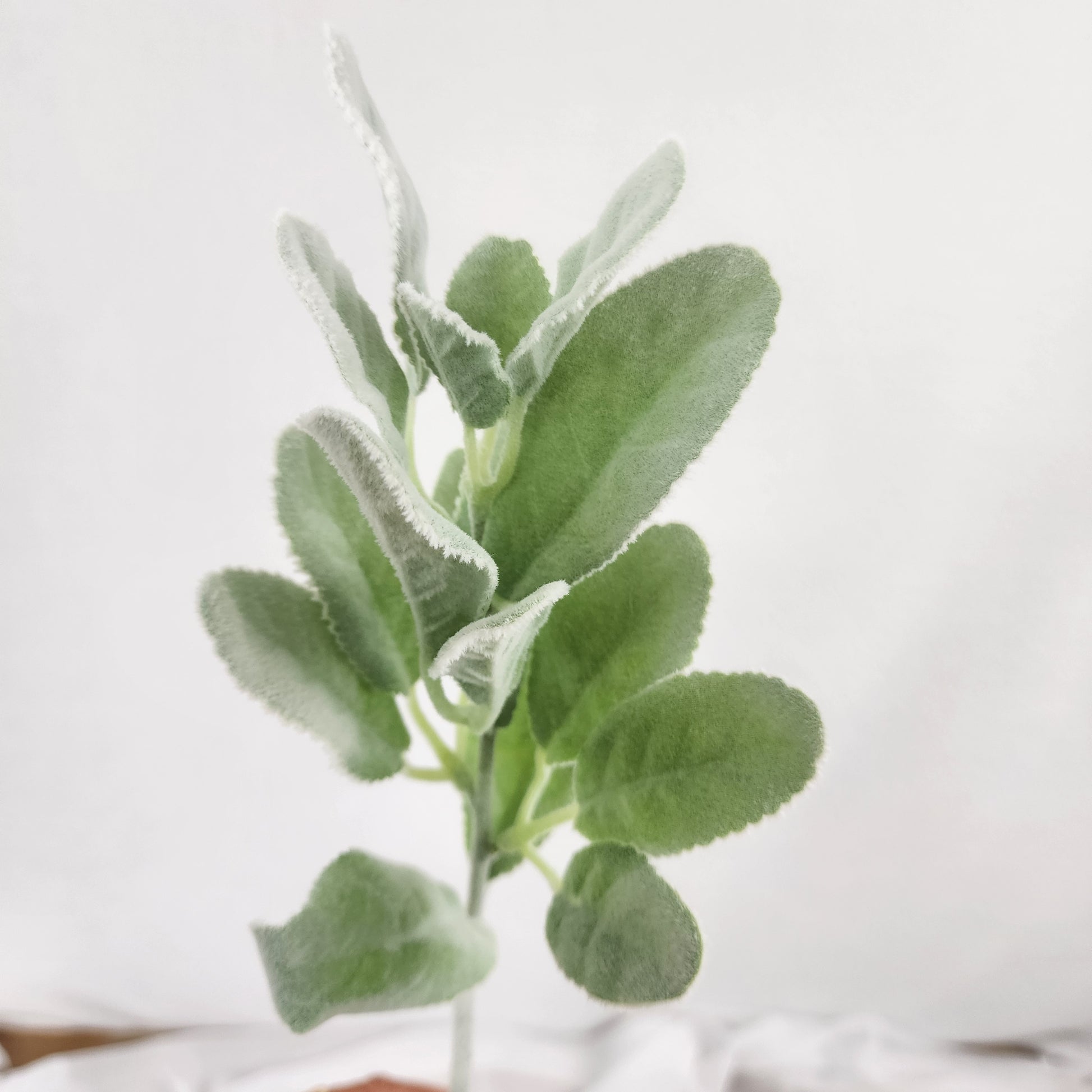 Lambs Ear /Woolly Hedgenettle Greenery -Realistic Artificial Greenery