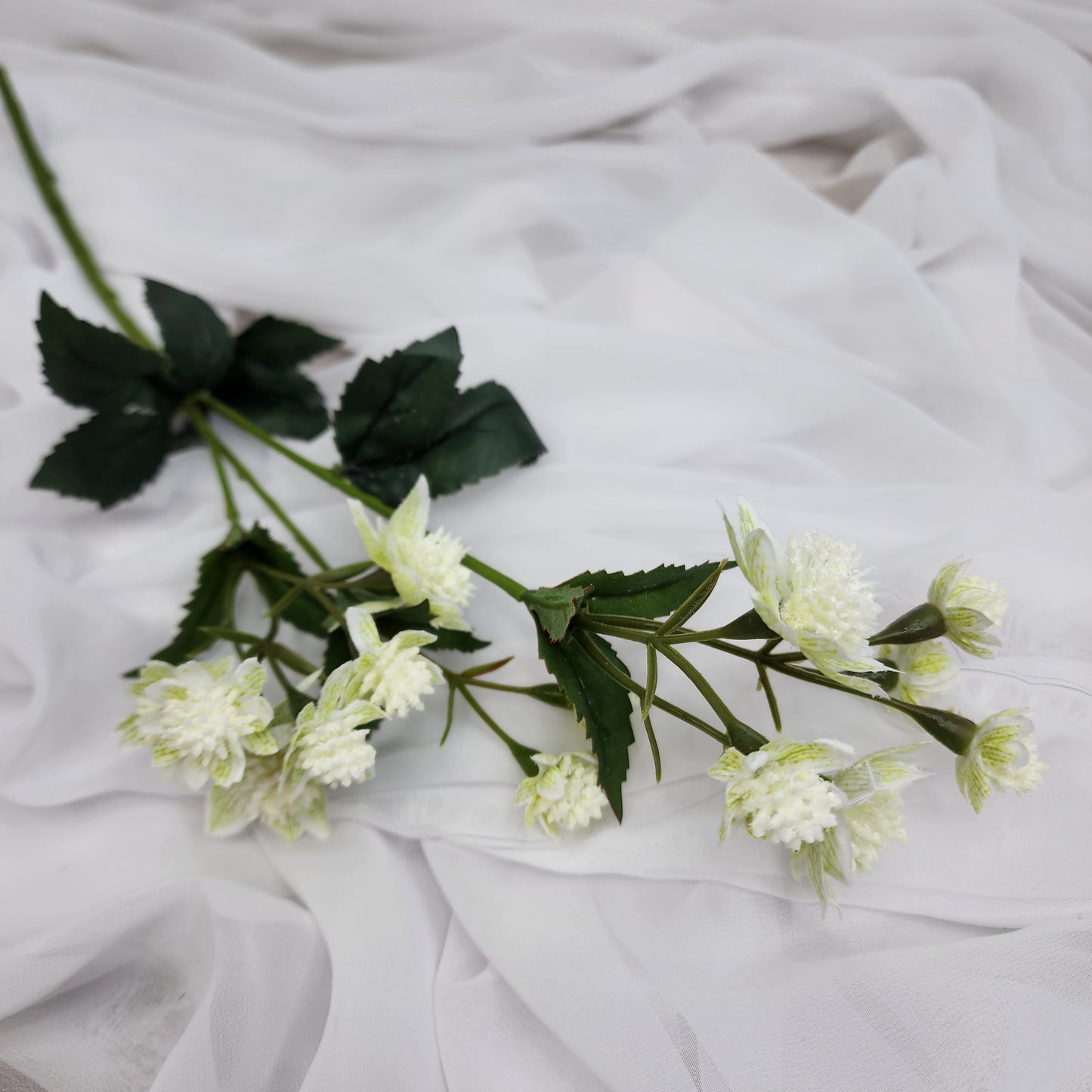 Astrania White- Realistic Artificial Flowers