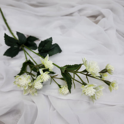 Astrania White- Realistic Artificial Flowers