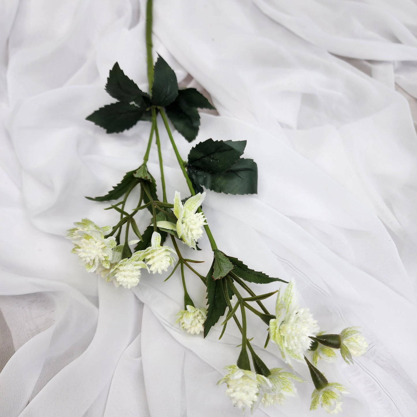 Astrania White- Realistic Artificial Flowers