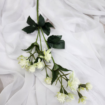 Astrania White- Realistic Artificial Flowers