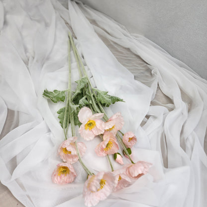 Icelandic Poppies - Light Pink