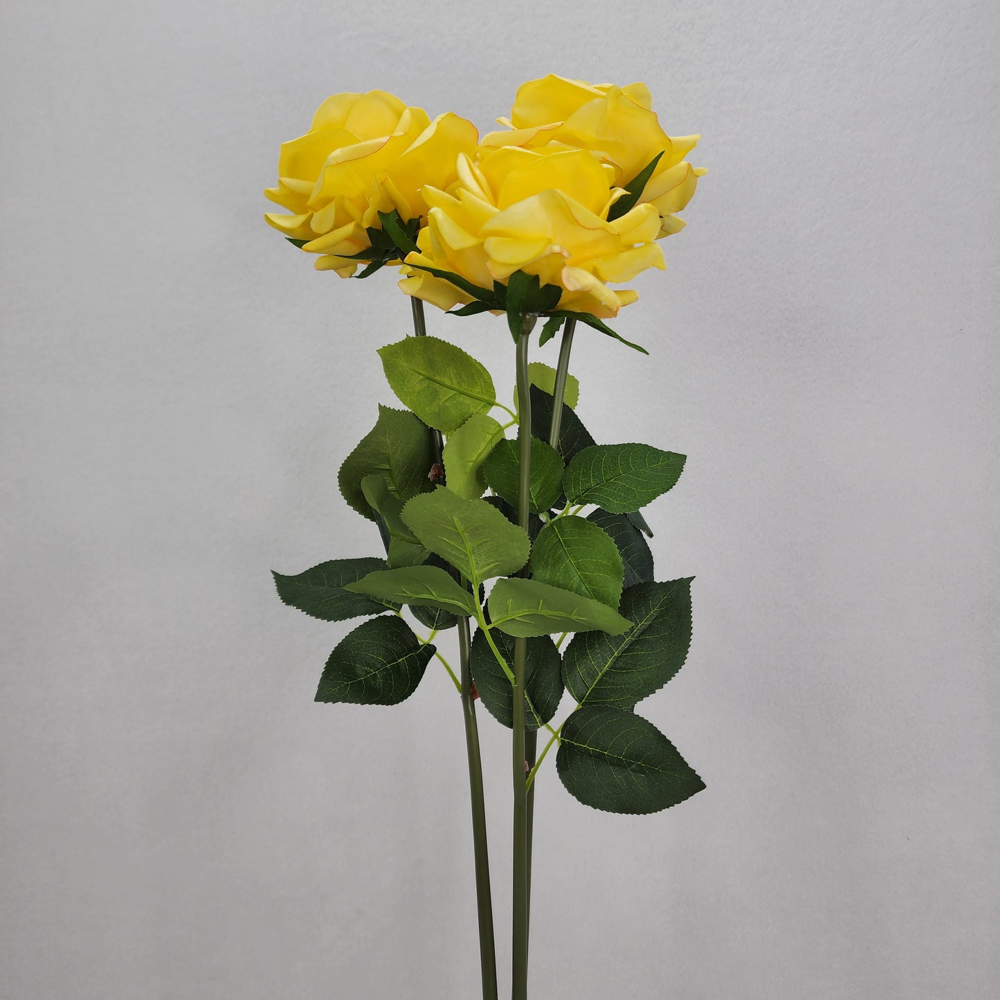 Yellow Royal Real Touch Rose