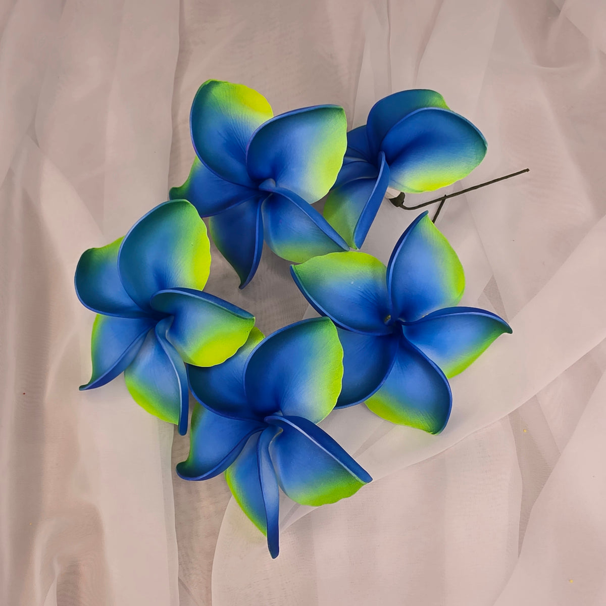 Blue/Lime Frangipani 11.5cm Flowerhead