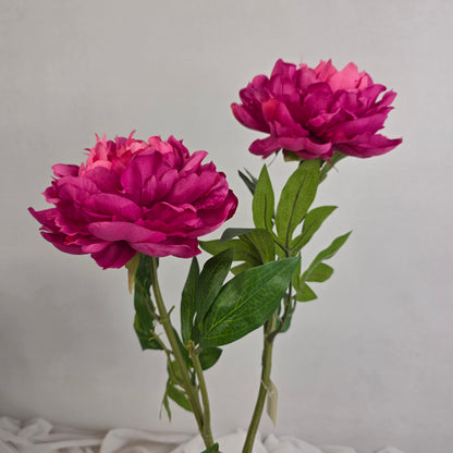 Dark Pink Peony Bloom Large - Realistic Artificial Flowers