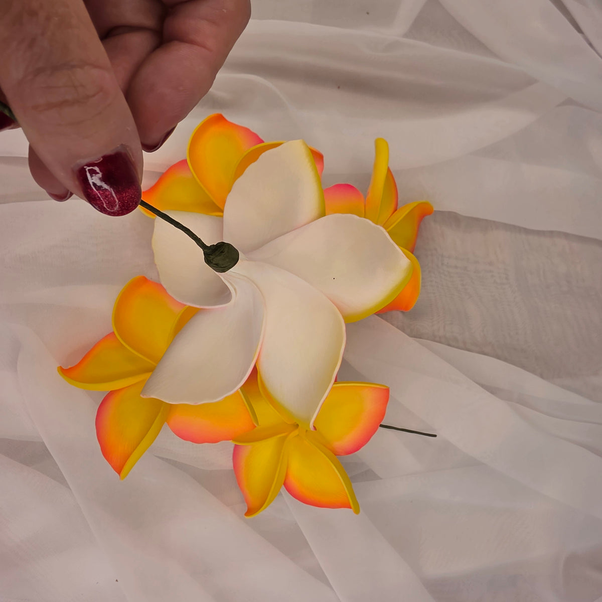 Hot Pink and Yellow Frangipani 11.5cm Flowerhead