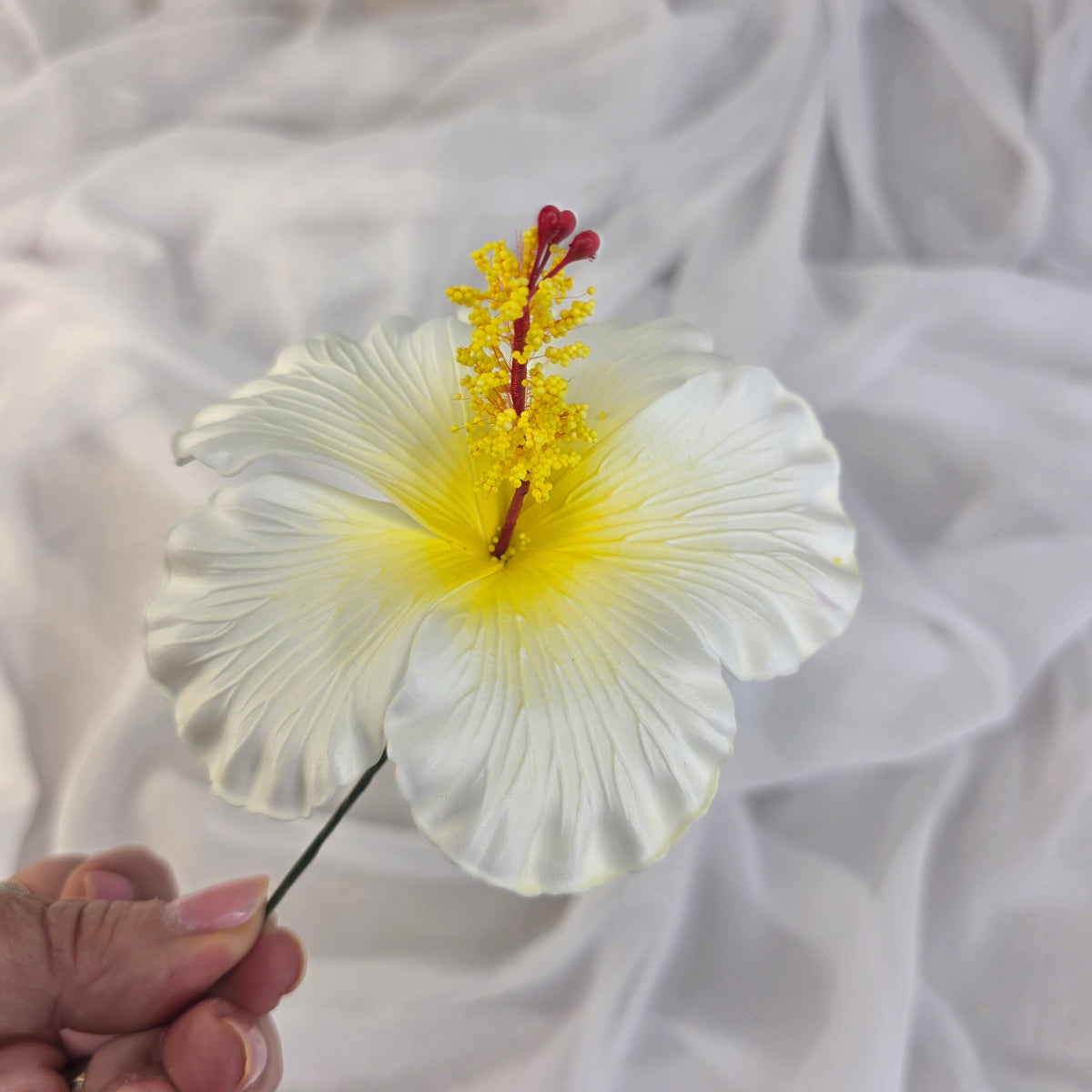 White/Yellow Hibiscus 11.5 cm Flowerhead