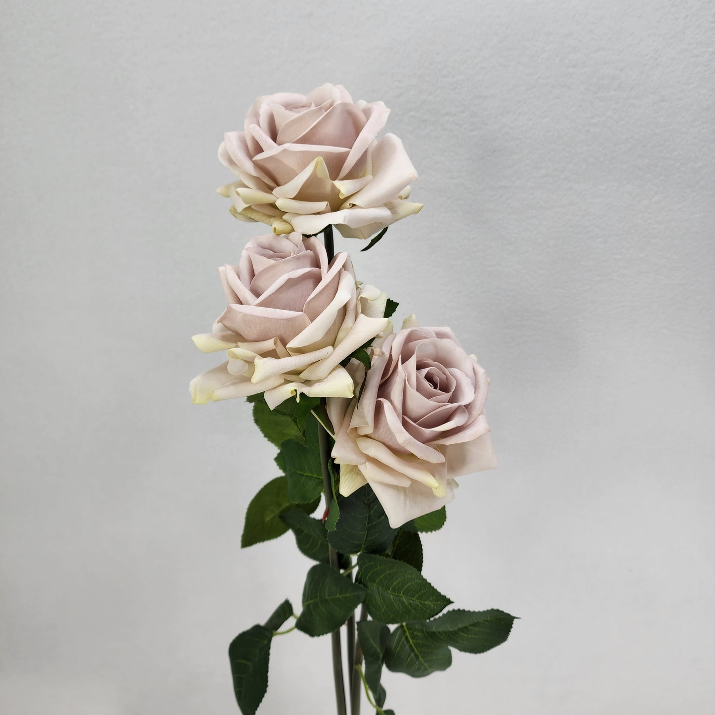 Quick Sand Royal Real Touch Rose