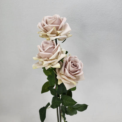 Quick Sand Royal Real Touch Rose