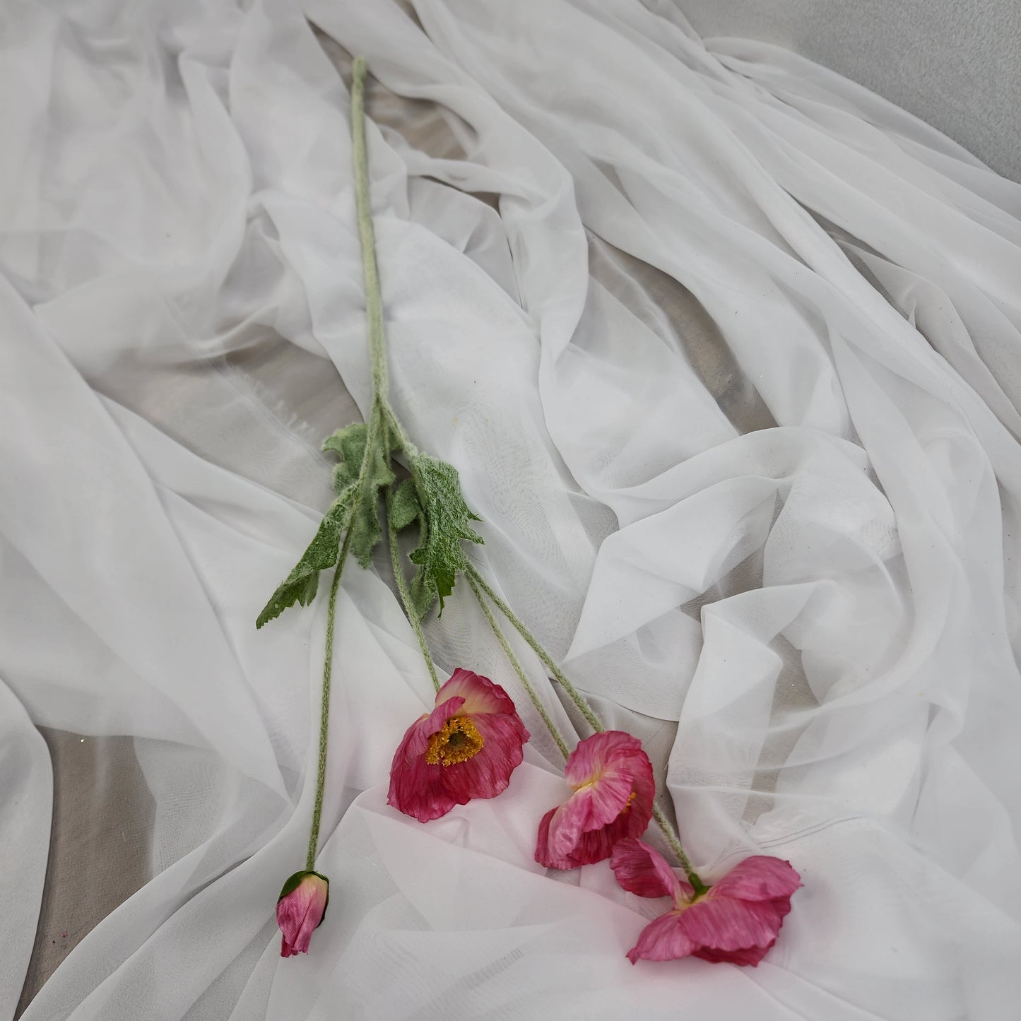 Iceland Poppies - Dark Pink