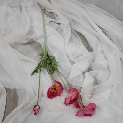 Iceland Poppies - Dark Pink