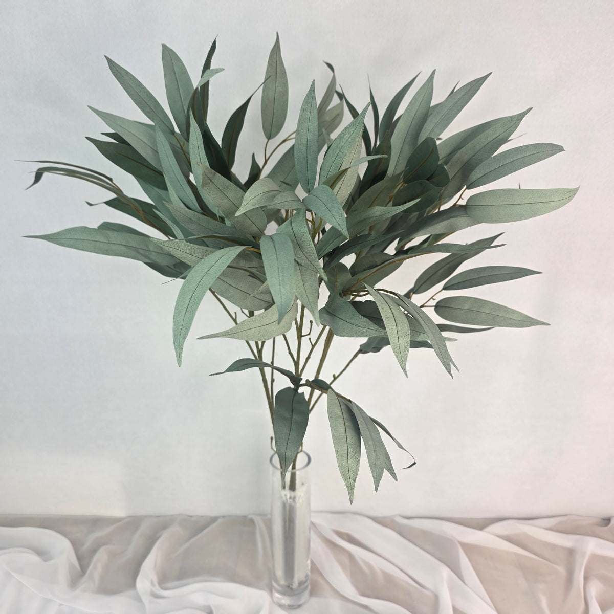 Wide Leaf Eucalyptus