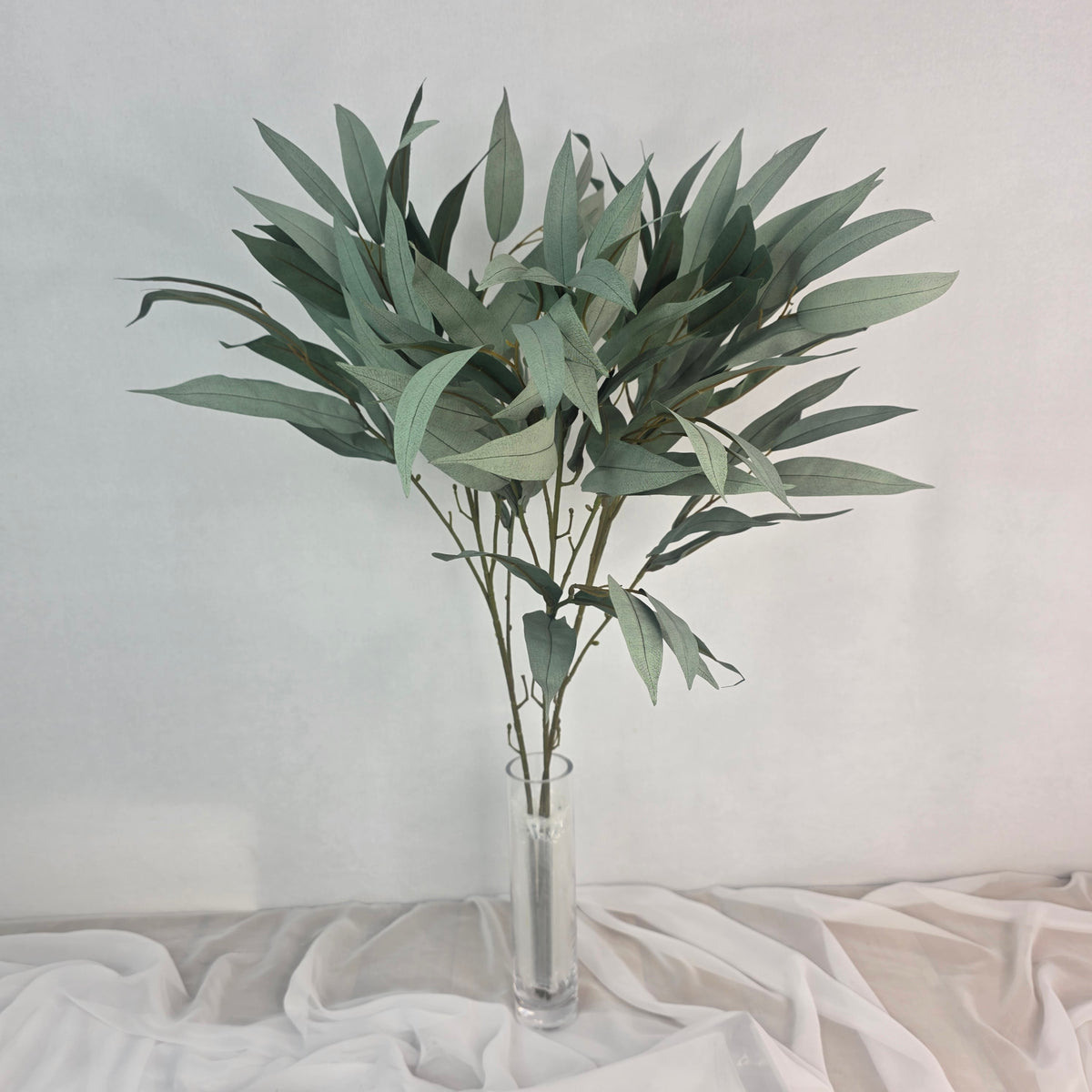Wide Leaf Eucalyptus