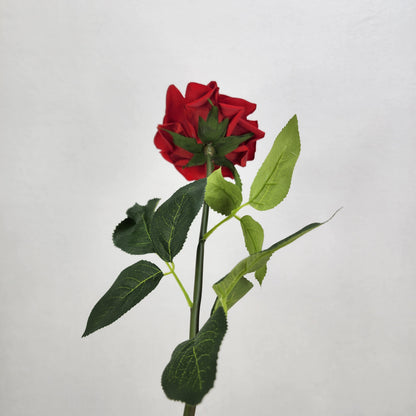 Red Royal Real Touch Rose