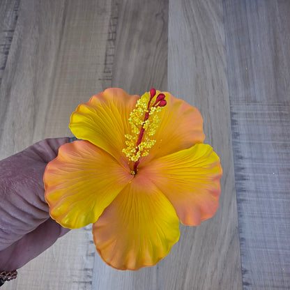 Peach Hibiscus 11.5 cm Flowerhead