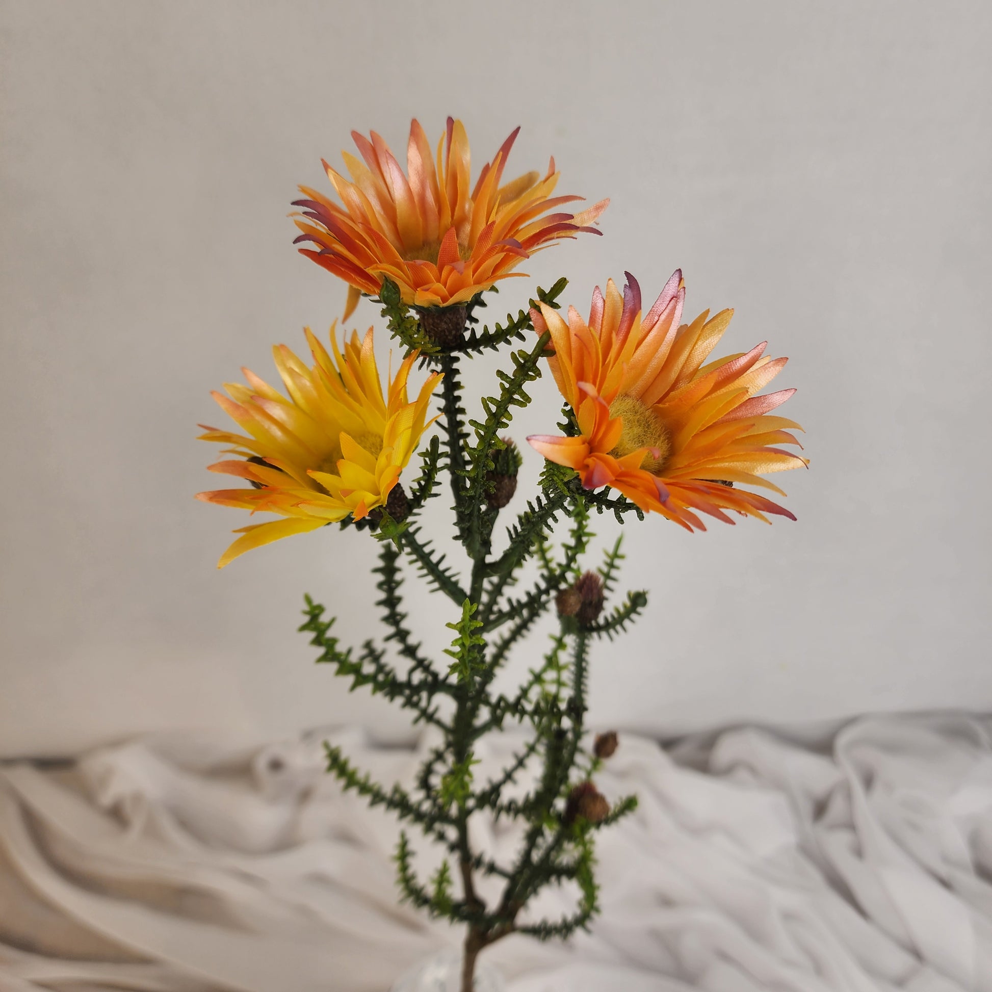 Desert Daisy Orange- Kaaps Flower , Realistic Artificial Flowers