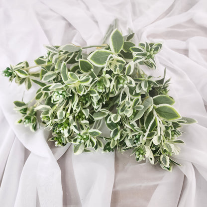 Euphorbia Variegated Greenery -Realistic Artificial Greenery