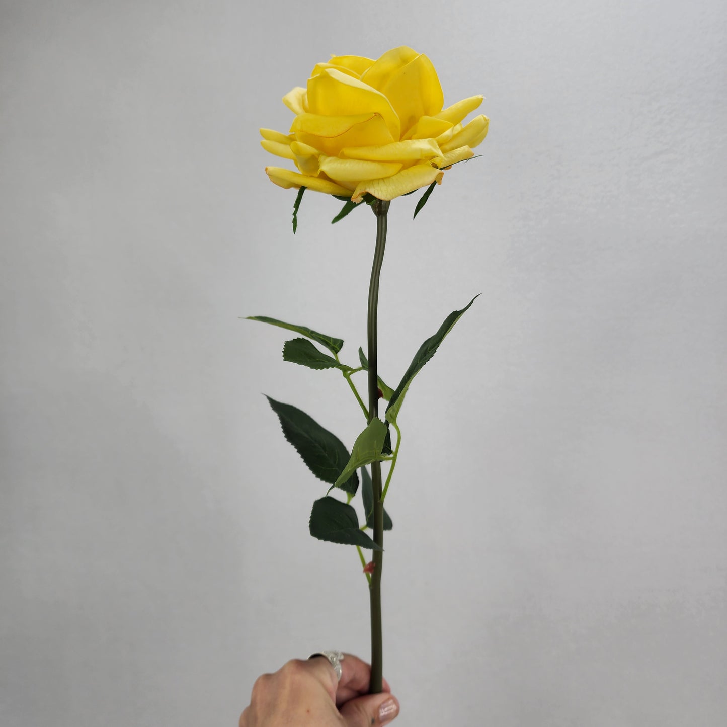 Yellow Royal Real Touch Rose