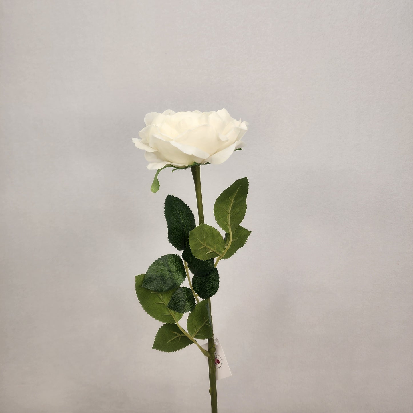 White David Austin Half Bloom Real Touch Rose - Realistic Artificial Flowers