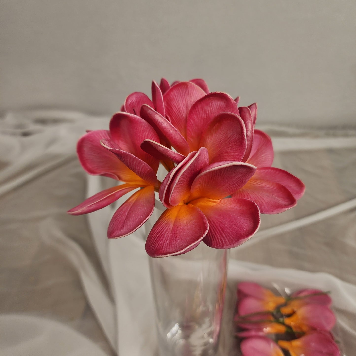 Fiji Frangipani Flowerhead ( 6 Pack )