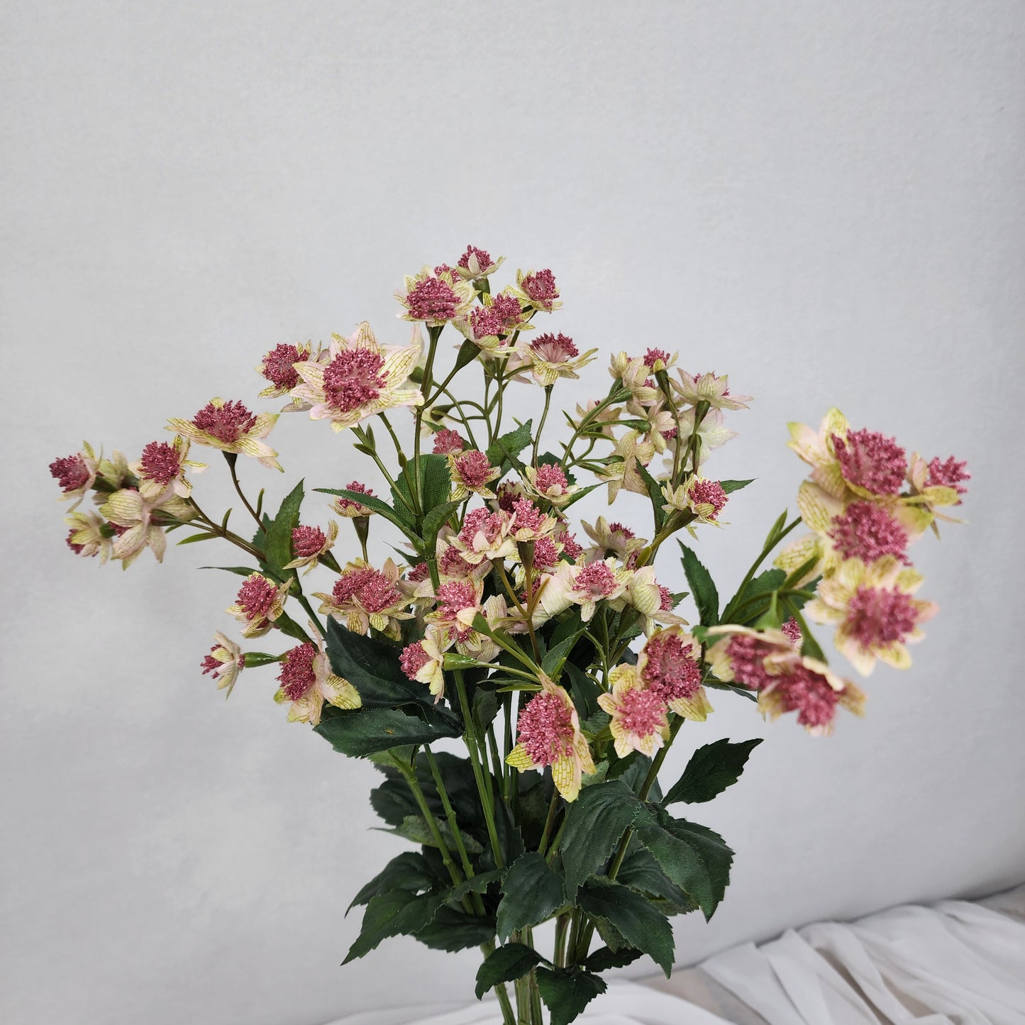 Astrania Pink - Realistic Artificial Flowers