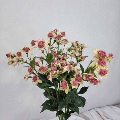 Astrania Pink - Realistic Artificial Flowers
