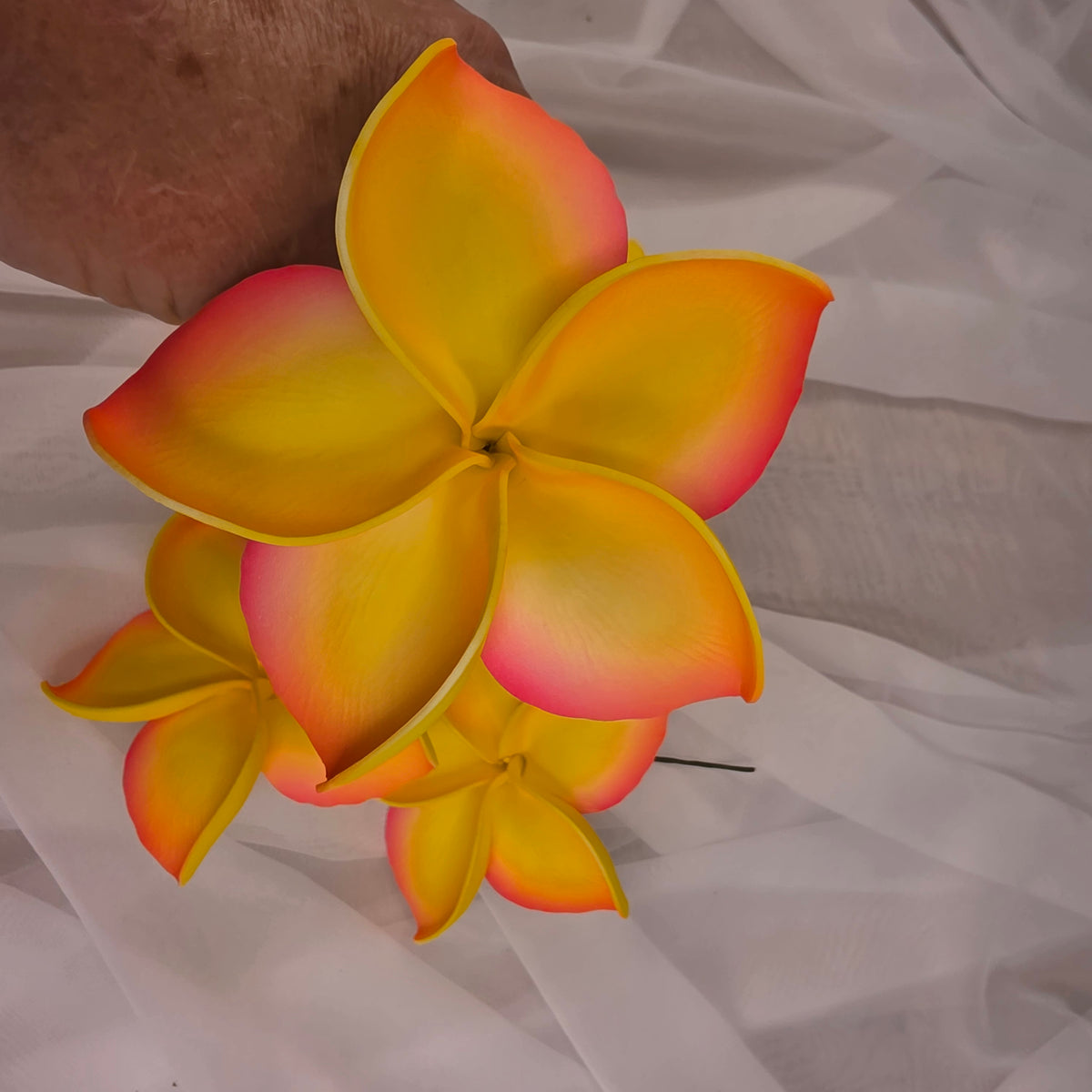 Hot Pink and Yellow Frangipani 11.5cm Flowerhead