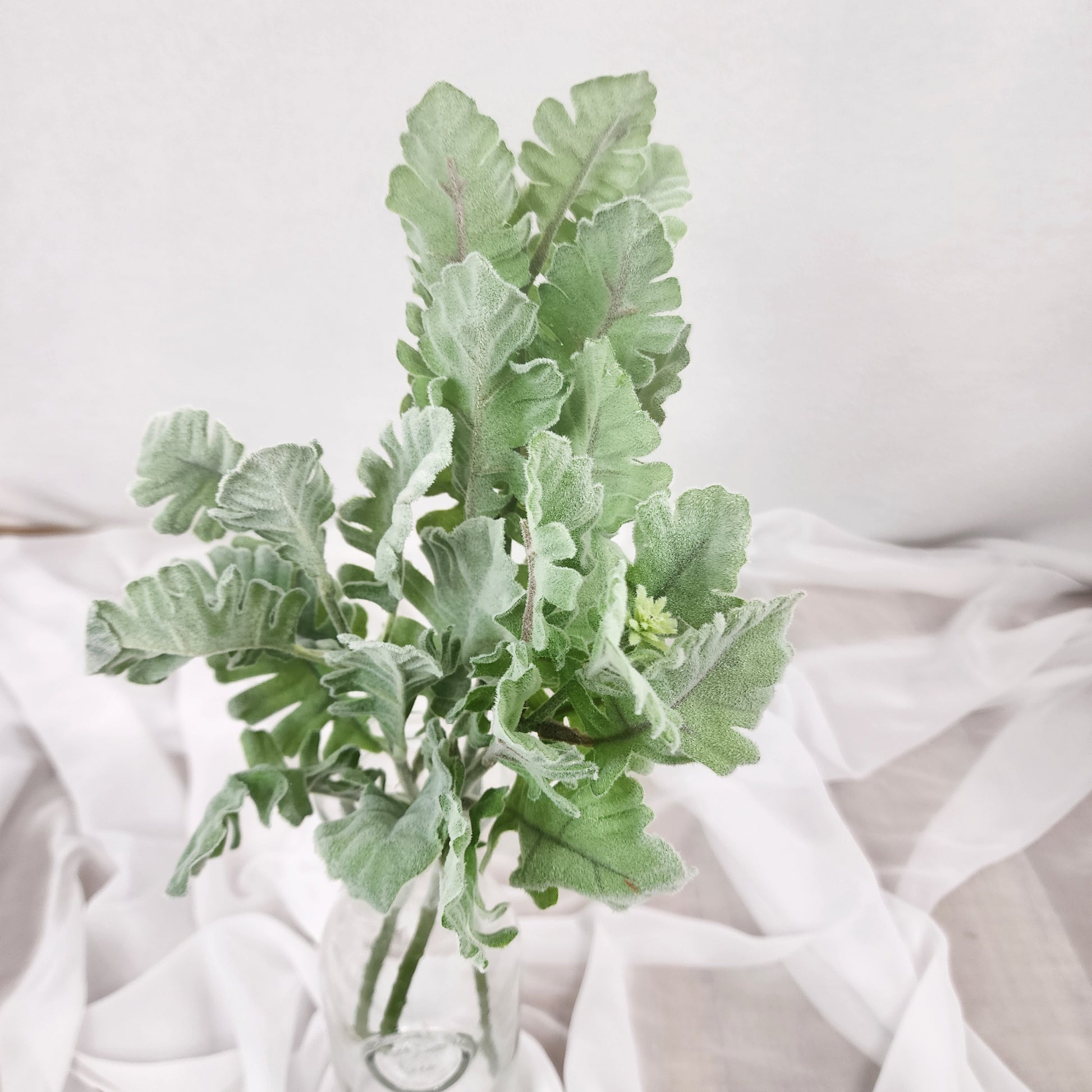 Dusty Miller -Realistic Artificial Greenery