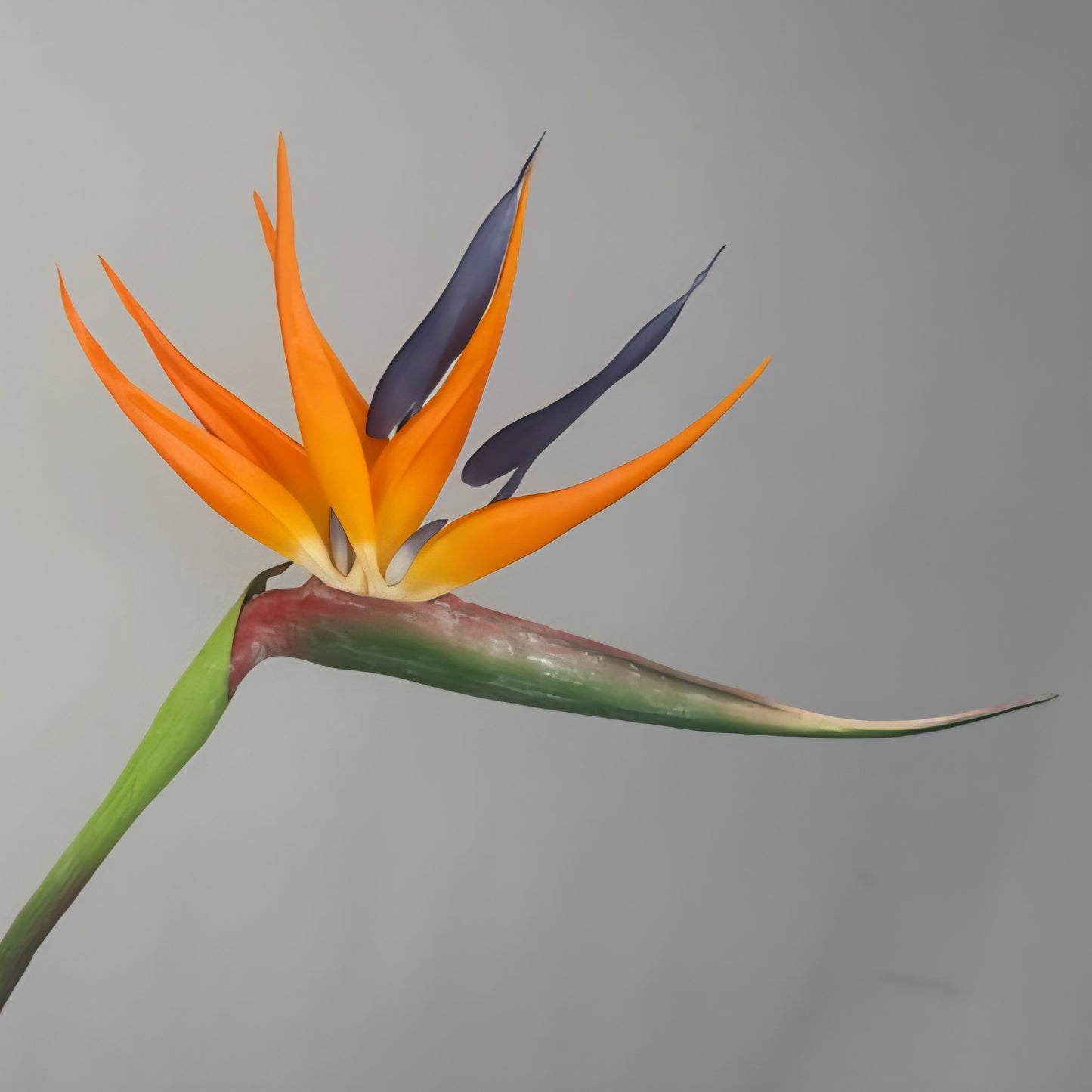 Bird of Paradise - Realistic Artificial Flowers